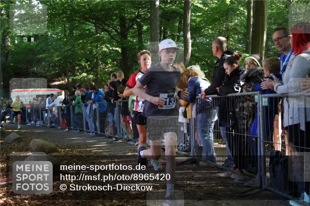 28.09.2025 - 33. Volkslauf durch das schöne Alstertal Strokosch-Dieckow http://msf.ph/oto/8965420 28.09.2025 11:23:48 Ziel 3133, 3202, 3414, 3904 meine-sportfotos.de