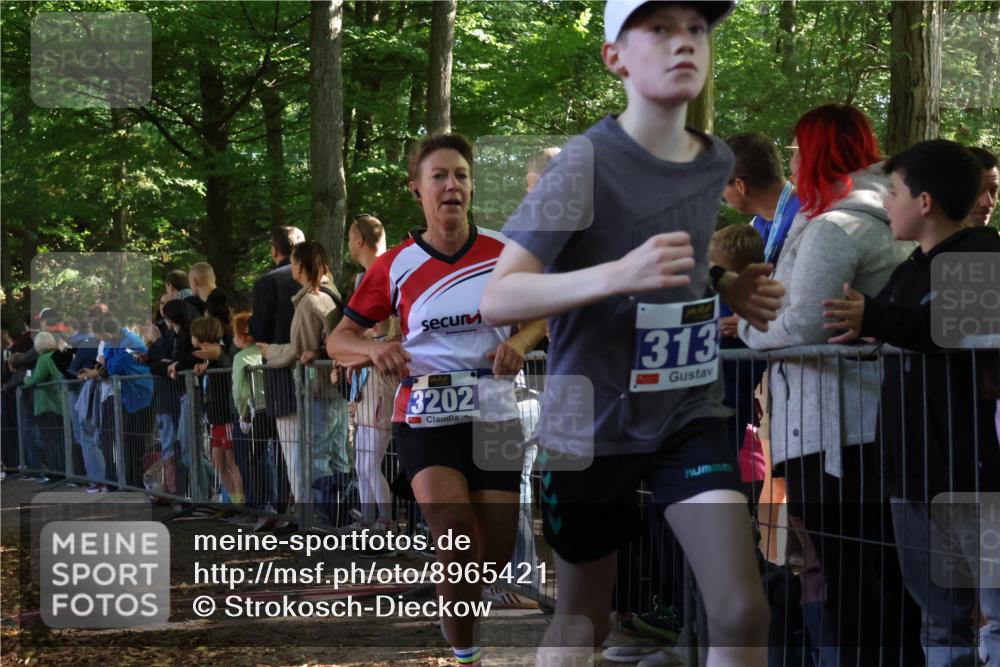 28.09.2025 - 33. Volkslauf durch das schöne Alstertal Strokosch-Dieckow http://msf.ph/oto/8965421 28.09.2025 11:23:48 Ziel 3133, 3202, 3414, 3904 meine-sportfotos.de
