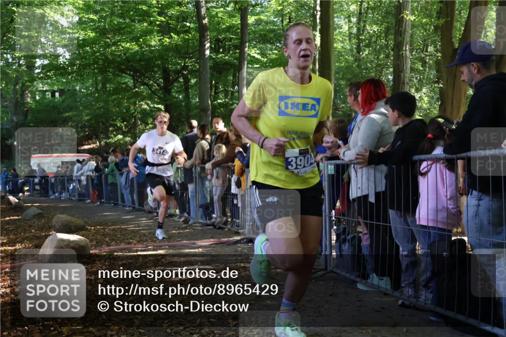 28.09.2025 - 33. Volkslauf durch das schöne Alstertal Strokosch-Dieckow http://msf.ph/oto/8965429 28.09.2025 11:23:55 Ziel 3414, 3904 meine-sportfotos.de