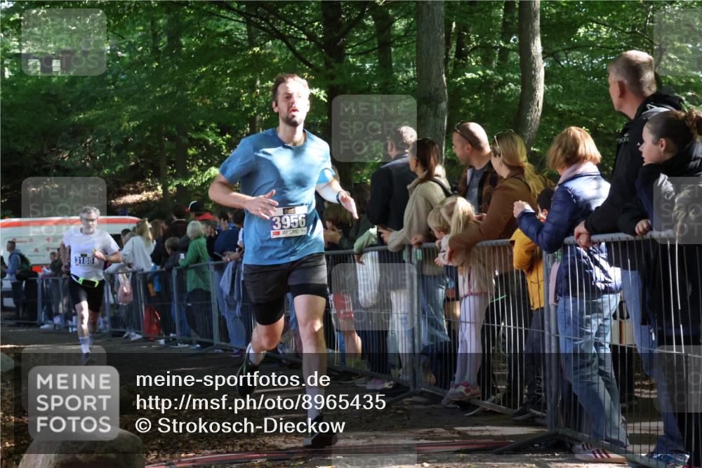 28.09.2025 - 33. Volkslauf durch das schöne Alstertal Strokosch-Dieckow http://msf.ph/oto/8965435 28.09.2025 11:24:04 Ziel 3188, 3287, 3922, 3942, 3956 meine-sportfotos.de