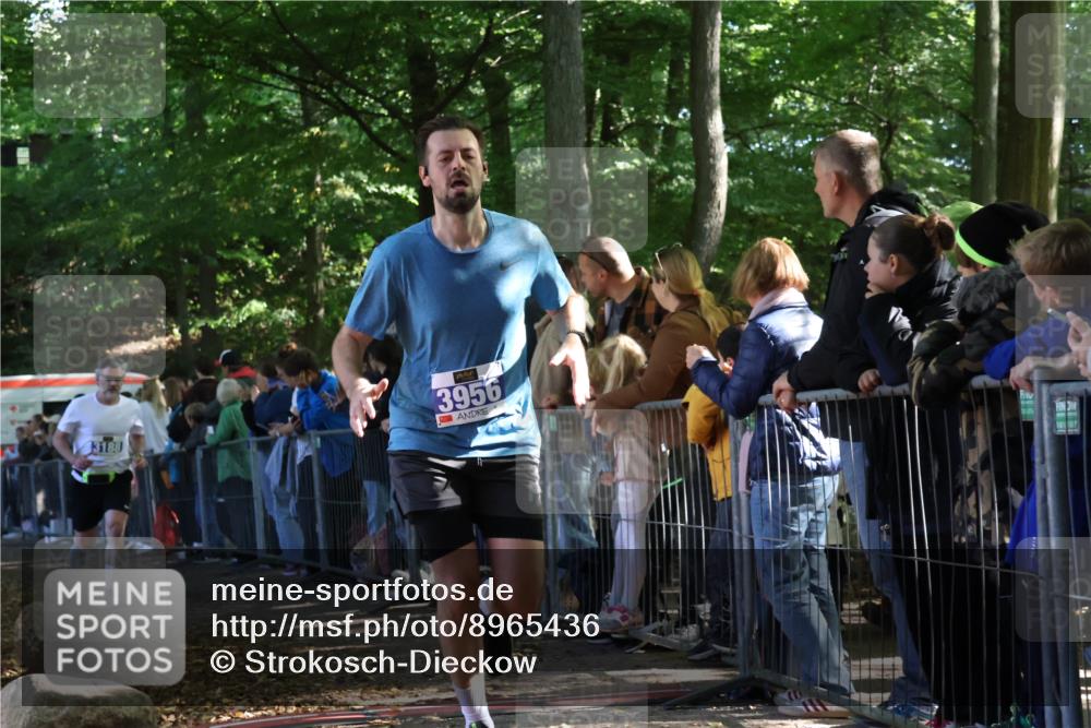 28.09.2025 - 33. Volkslauf durch das schöne Alstertal Strokosch-Dieckow http://msf.ph/oto/8965436 28.09.2025 11:24:04 Ziel 3188, 3287, 3922, 3942, 3956 meine-sportfotos.de