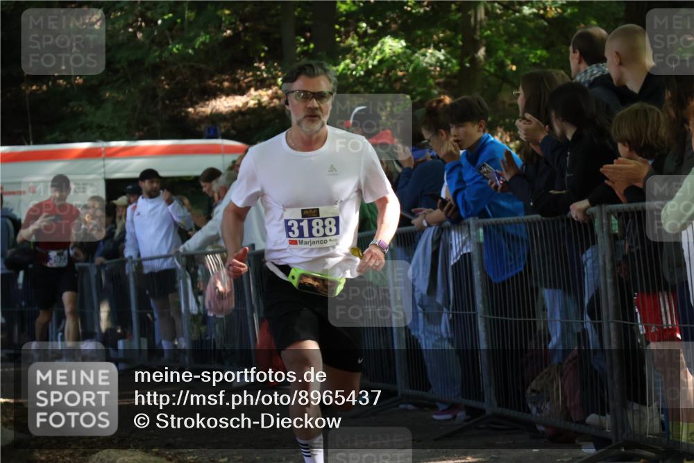 28.09.2025 - 33. Volkslauf durch das schöne Alstertal Strokosch-Dieckow http://msf.ph/oto/8965437 28.09.2025 11:24:05 Ziel 3188, 3287, 3922, 3942, 3956 meine-sportfotos.de