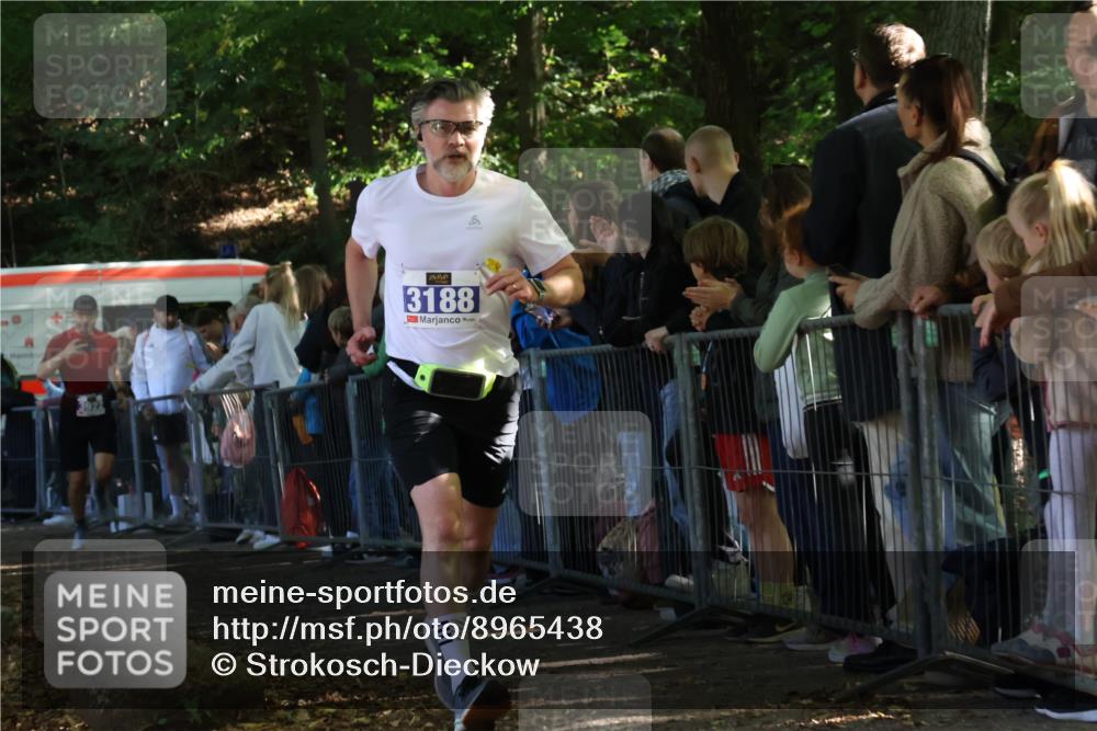 28.09.2025 - 33. Volkslauf durch das schöne Alstertal Strokosch-Dieckow http://msf.ph/oto/8965438 28.09.2025 11:24:06 Ziel 3188, 3287, 3922, 3942, 3956 meine-sportfotos.de