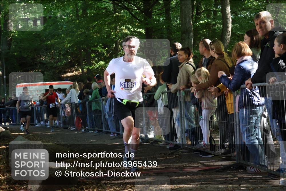 28.09.2025 - 33. Volkslauf durch das schöne Alstertal Strokosch-Dieckow http://msf.ph/oto/8965439 28.09.2025 11:24:07 Ziel 3188, 3287, 3922, 3942 meine-sportfotos.de