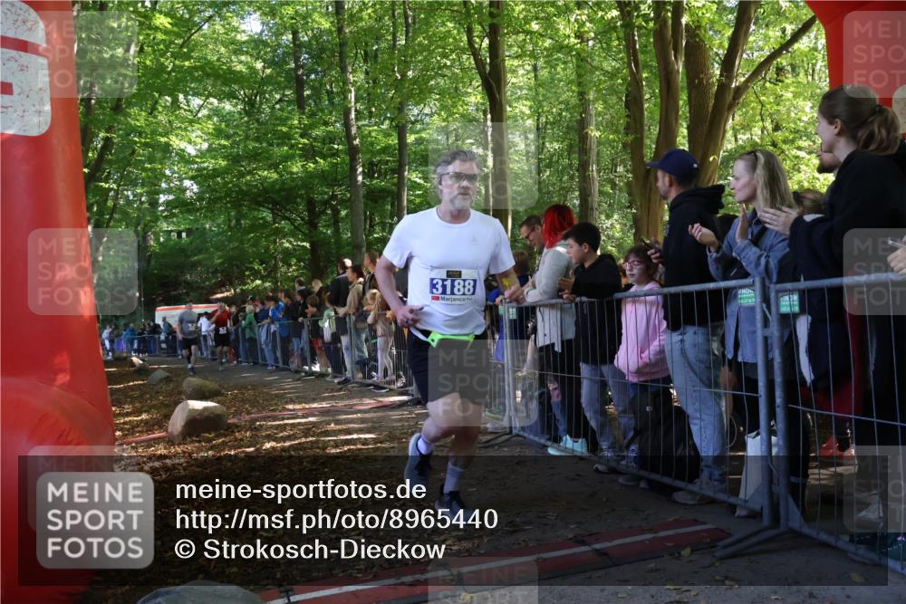 28.09.2025 - 33. Volkslauf durch das schöne Alstertal Strokosch-Dieckow http://msf.ph/oto/8965440 28.09.2025 11:24:08 Ziel 3032, 3188, 3287, 3922, 3942 meine-sportfotos.de
