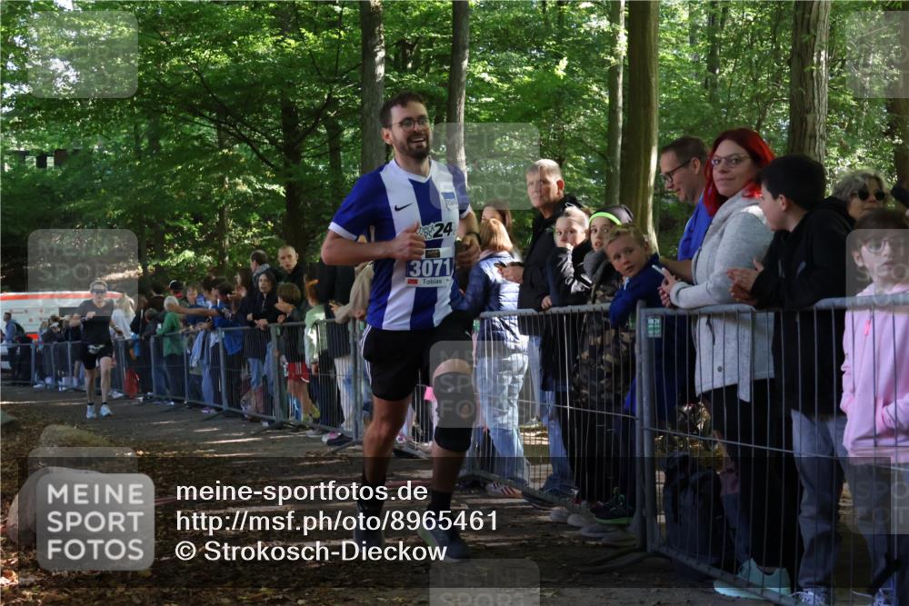 28.09.2025 - 33. Volkslauf durch das schöne Alstertal Strokosch-Dieckow http://msf.ph/oto/8965461 28.09.2025 11:24:24 Ziel 3071, 3220, 3380 meine-sportfotos.de