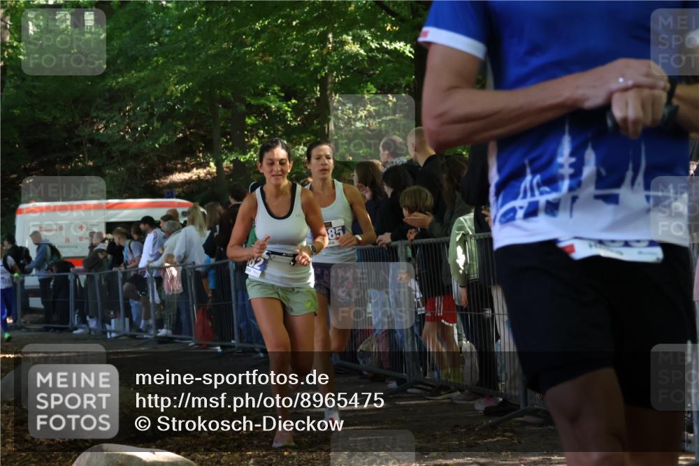 28.09.2025 - 33. Volkslauf durch das schöne Alstertal Strokosch-Dieckow http://msf.ph/oto/8965475 28.09.2025 11:24:33 Ziel 3285, 3314, 3380, 3382 meine-sportfotos.de