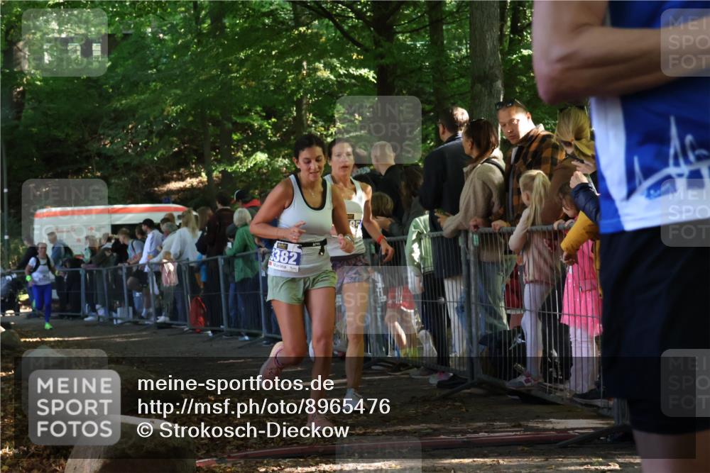 28.09.2025 - 33. Volkslauf durch das schöne Alstertal Strokosch-Dieckow http://msf.ph/oto/8965476 28.09.2025 11:24:33 Ziel 3285, 3314, 3380, 3382 meine-sportfotos.de