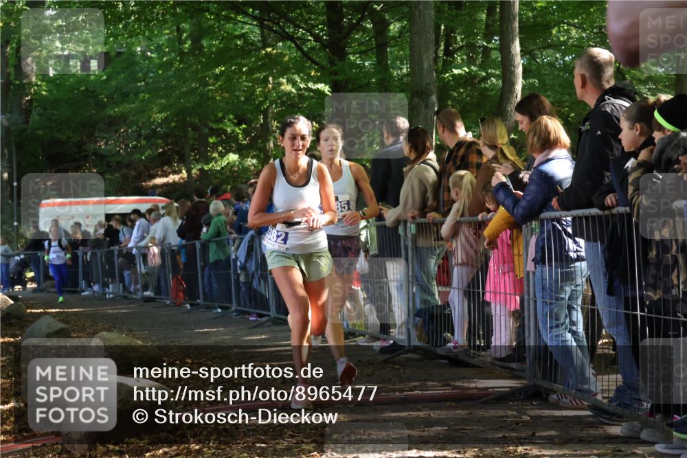 28.09.2025 - 33. Volkslauf durch das schöne Alstertal Strokosch-Dieckow http://msf.ph/oto/8965477 28.09.2025 11:24:34 Ziel 3285, 3314, 3382 meine-sportfotos.de