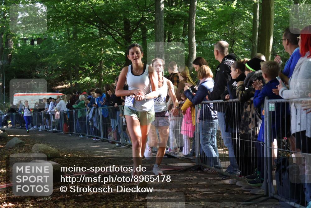 28.09.2025 - 33. Volkslauf durch das schöne Alstertal Strokosch-Dieckow http://msf.ph/oto/8965478 28.09.2025 11:24:34 Ziel 3285, 3314, 3382 meine-sportfotos.de