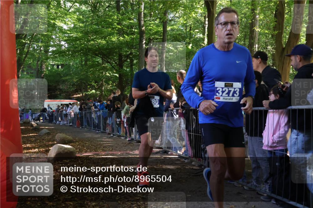 28.09.2025 - 33. Volkslauf durch das schöne Alstertal Strokosch-Dieckow http://msf.ph/oto/8965504 28.09.2025 11:25:04 Ziel 3273, 3280 meine-sportfotos.de