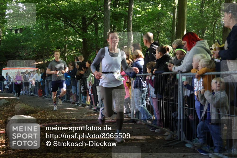 28.09.2025 - 33. Volkslauf durch das schöne Alstertal Strokosch-Dieckow http://msf.ph/oto/8965509 28.09.2025 11:25:16 Ziel 3260, 3385, 3408 meine-sportfotos.de