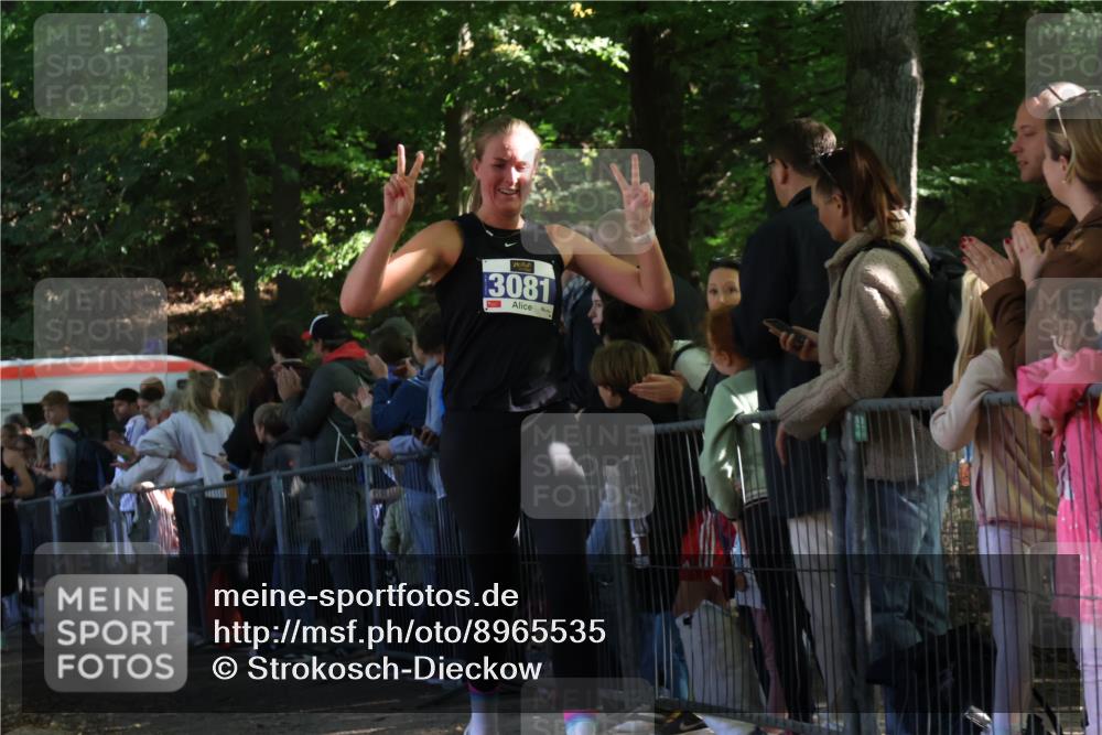 28.09.2025 - 33. Volkslauf durch das schöne Alstertal Strokosch-Dieckow http://msf.ph/oto/8965535 28.09.2025 11:25:46 Ziel 3081, 3093, 3155, 3187 meine-sportfotos.de