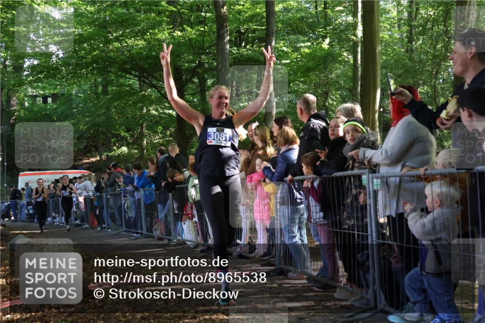 28.09.2025 - 33. Volkslauf durch das schöne Alstertal Strokosch-Dieckow http://msf.ph/oto/8965538 28.09.2025 11:25:47 Ziel 3081, 3093, 3155, 3187 meine-sportfotos.de