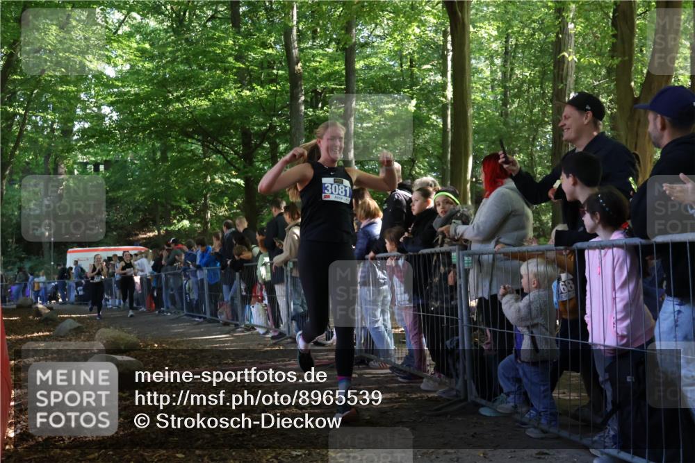 28.09.2025 - 33. Volkslauf durch das schöne Alstertal Strokosch-Dieckow http://msf.ph/oto/8965539 28.09.2025 11:25:47 Ziel 3081, 3093, 3155, 3187 meine-sportfotos.de