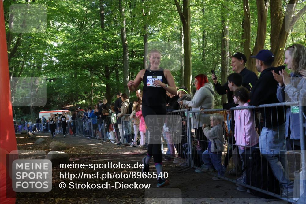 28.09.2025 - 33. Volkslauf durch das schöne Alstertal Strokosch-Dieckow http://msf.ph/oto/8965540 28.09.2025 11:25:48 Ziel 3081, 3093, 3155, 3187 meine-sportfotos.de