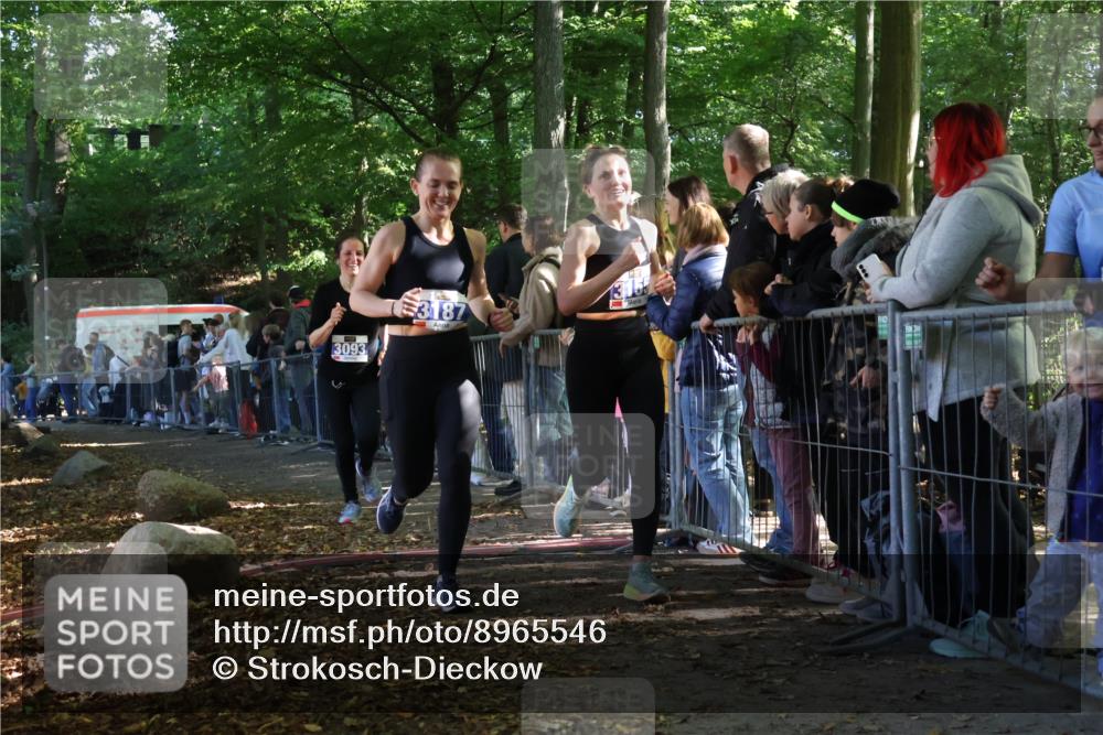 28.09.2025 - 33. Volkslauf durch das schöne Alstertal Strokosch-Dieckow http://msf.ph/oto/8965546 28.09.2025 11:25:52 Ziel 3093, 3155, 3187 meine-sportfotos.de