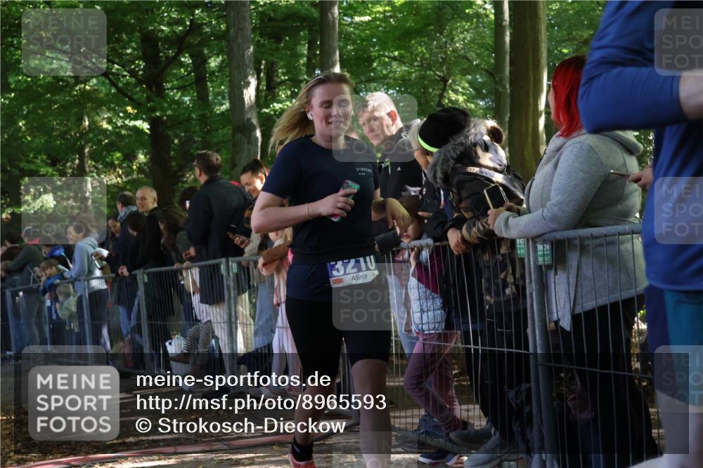 28.09.2025 - 33. Volkslauf durch das schöne Alstertal Strokosch-Dieckow http://msf.ph/oto/8965593 28.09.2025 11:26:49 Ziel 3033, 3116, 3210 meine-sportfotos.de