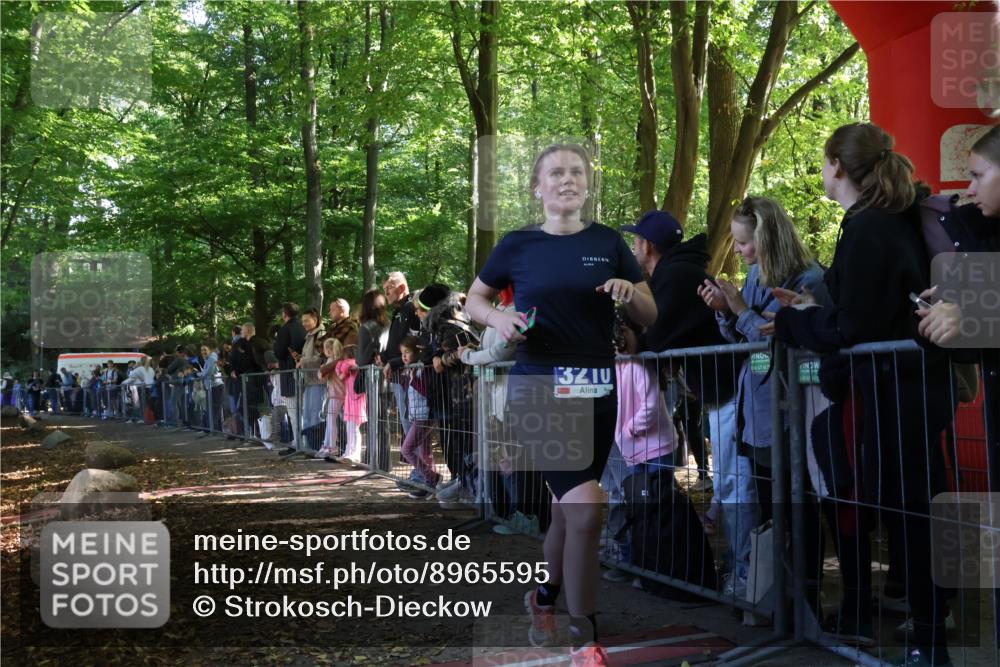 28.09.2025 - 33. Volkslauf durch das schöne Alstertal Strokosch-Dieckow http://msf.ph/oto/8965595 28.09.2025 11:26:50 Ziel 3116, 3210 meine-sportfotos.de