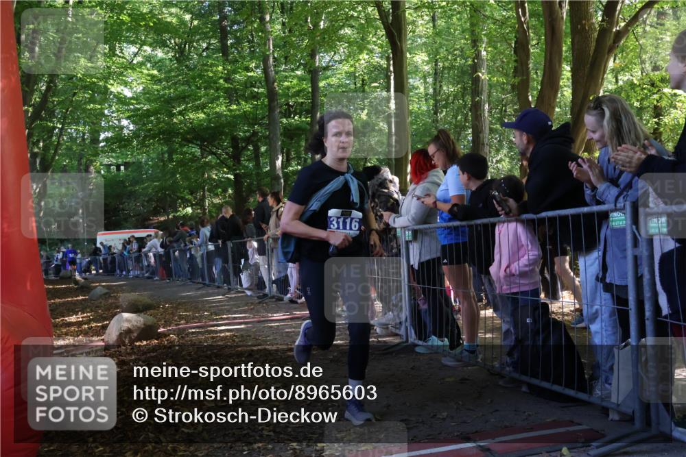 28.09.2025 - 33. Volkslauf durch das schöne Alstertal Strokosch-Dieckow http://msf.ph/oto/8965603 28.09.2025 11:26:59 Ziel 3049, 3116 meine-sportfotos.de