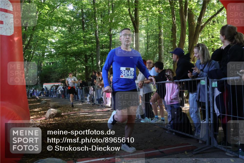 28.09.2025 - 33. Volkslauf durch das schöne Alstertal Strokosch-Dieckow http://msf.ph/oto/8965610 28.09.2025 11:27:08 Ziel 3049, 3936, 3946 meine-sportfotos.de