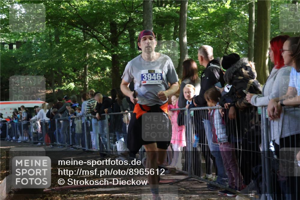 28.09.2025 - 33. Volkslauf durch das schöne Alstertal Strokosch-Dieckow http://msf.ph/oto/8965612 28.09.2025 11:27:10 Ziel 3309, 3312, 3313, 3936, 3946 meine-sportfotos.de