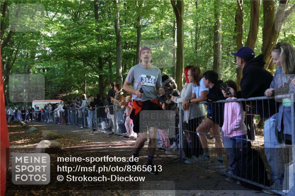 28.09.2025 - 33. Volkslauf durch das schöne Alstertal Strokosch-Dieckow http://msf.ph/oto/8965613 28.09.2025 11:27:10 Ziel 3309, 3312, 3313, 3936, 3946 meine-sportfotos.de