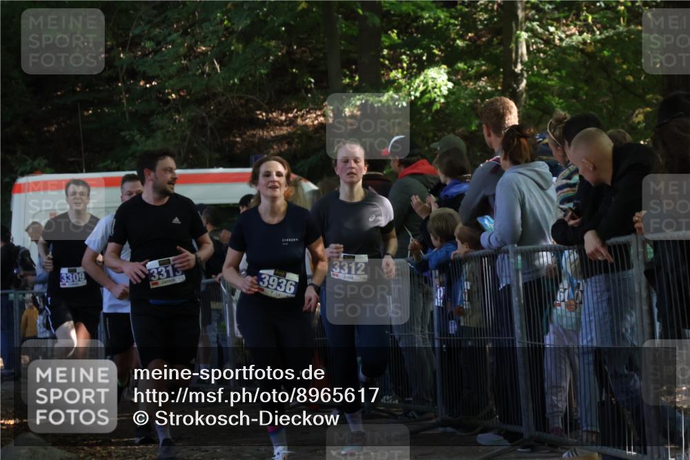28.09.2025 - 33. Volkslauf durch das schöne Alstertal Strokosch-Dieckow http://msf.ph/oto/8965617 28.09.2025 11:27:15 Ziel 3308, 3309, 3312, 3313, 3936 meine-sportfotos.de