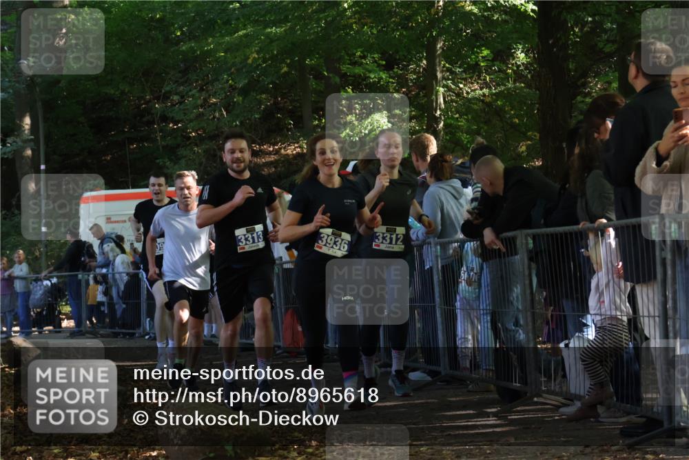 28.09.2025 - 33. Volkslauf durch das schöne Alstertal Strokosch-Dieckow http://msf.ph/oto/8965618 28.09.2025 11:27:16 Ziel 3308, 3309, 3312, 3313, 3936 meine-sportfotos.de