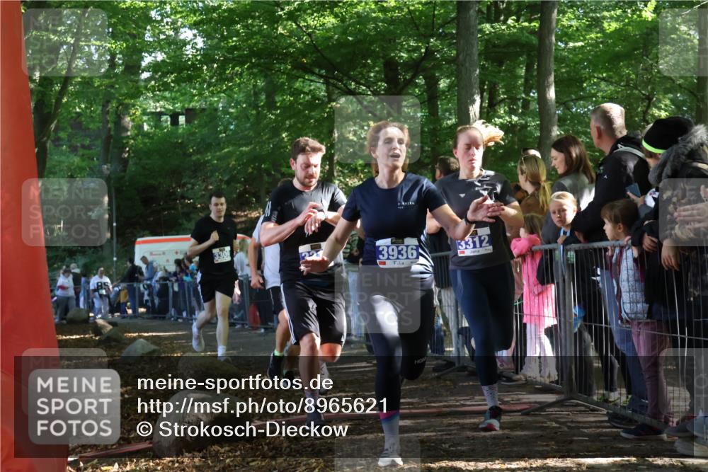 28.09.2025 - 33. Volkslauf durch das schöne Alstertal Strokosch-Dieckow http://msf.ph/oto/8965621 28.09.2025 11:27:17 Ziel 3308, 3309, 3312, 3313, 3936 meine-sportfotos.de