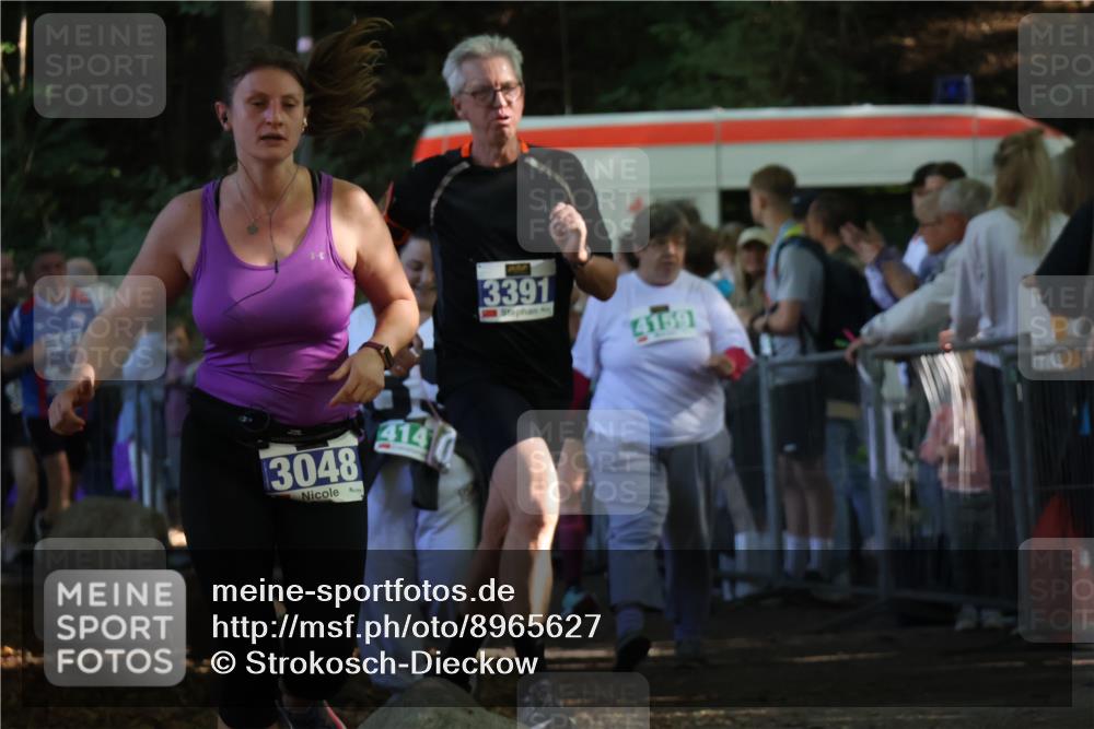 28.09.2025 - 33. Volkslauf durch das schöne Alstertal Strokosch-Dieckow http://msf.ph/oto/8965627 28.09.2025 11:27:28 Ziel 1002, 3048, 3357, 3391 meine-sportfotos.de