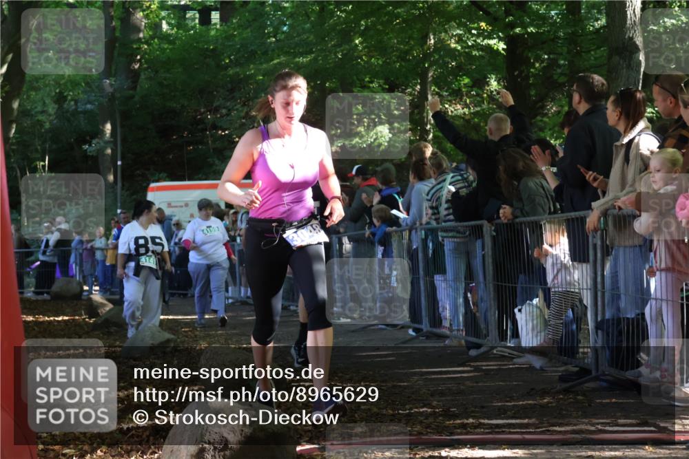 28.09.2025 - 33. Volkslauf durch das schöne Alstertal Strokosch-Dieckow http://msf.ph/oto/8965629 28.09.2025 11:27:30 Ziel 1002, 3048, 3066, 3357, 3391, 4141 meine-sportfotos.de