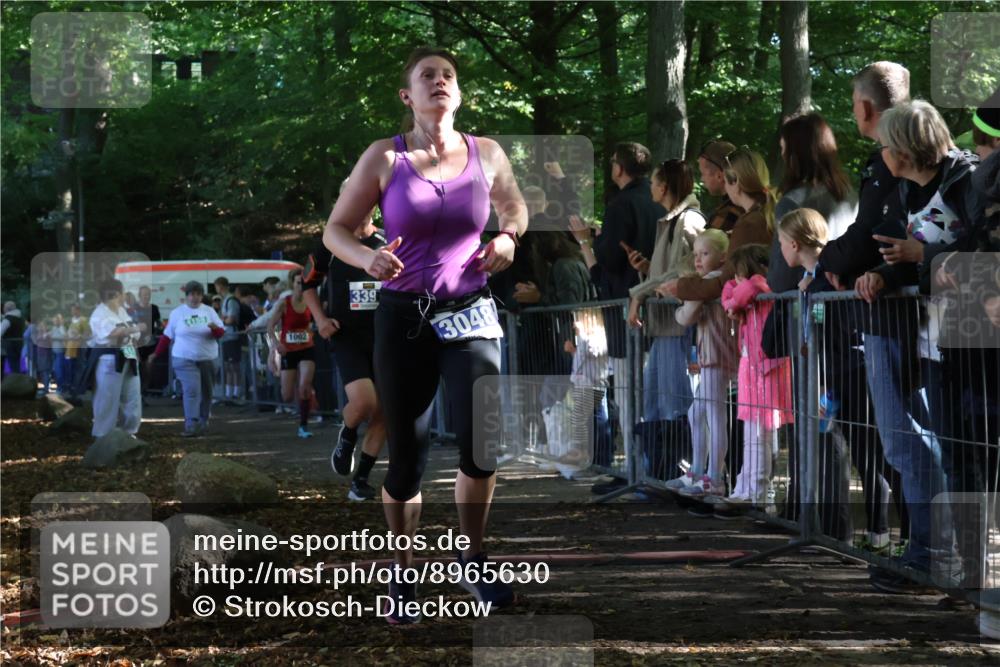 28.09.2025 - 33. Volkslauf durch das schöne Alstertal Strokosch-Dieckow http://msf.ph/oto/8965630 28.09.2025 11:27:30 Ziel 1002, 3048, 3066, 3357, 3391, 4141 meine-sportfotos.de