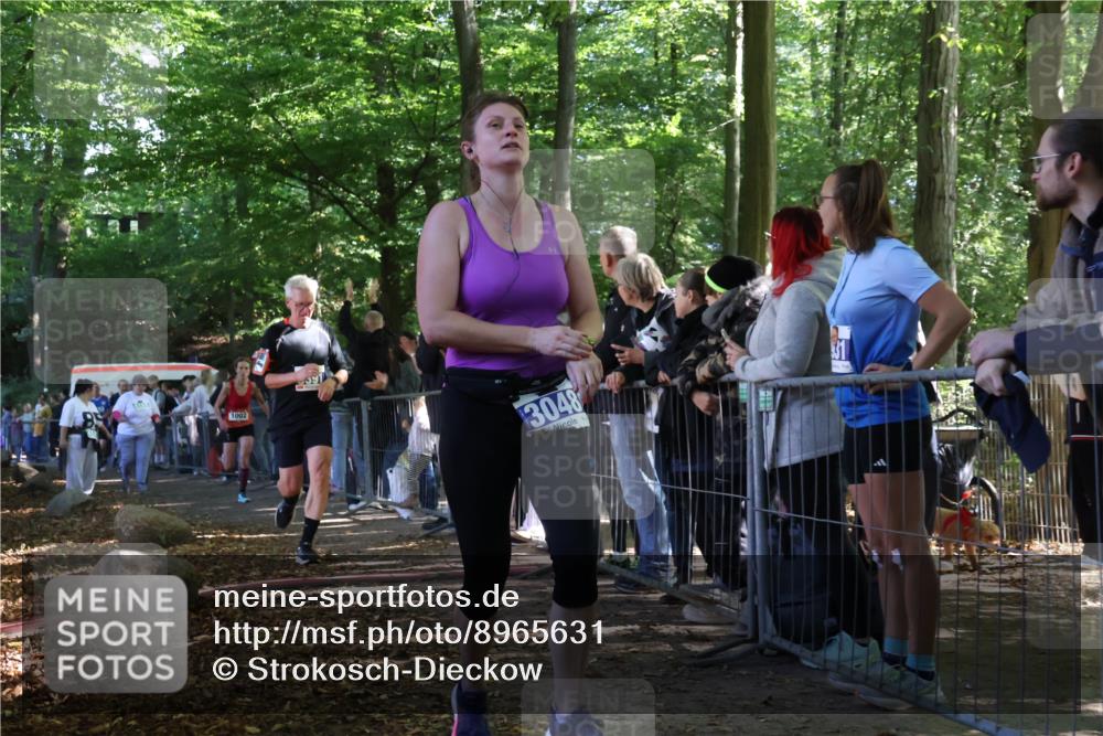 28.09.2025 - 33. Volkslauf durch das schöne Alstertal Strokosch-Dieckow http://msf.ph/oto/8965631 28.09.2025 11:27:31 Ziel 1002, 3048, 3066, 3357, 3391, 4141, 4159 meine-sportfotos.de
