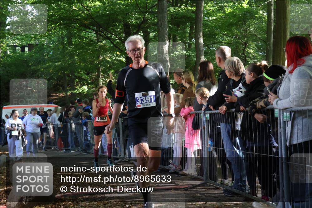 28.09.2025 - 33. Volkslauf durch das schöne Alstertal Strokosch-Dieckow http://msf.ph/oto/8965633 28.09.2025 11:27:32 Ziel 1002, 3066, 3357, 3391, 4141, 4159 meine-sportfotos.de