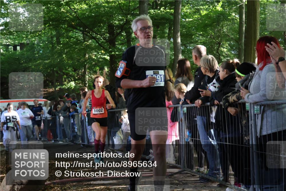 28.09.2025 - 33. Volkslauf durch das schöne Alstertal Strokosch-Dieckow http://msf.ph/oto/8965634 28.09.2025 11:27:33 Ziel 1002, 3066, 3357, 3391, 4141, 4159 meine-sportfotos.de