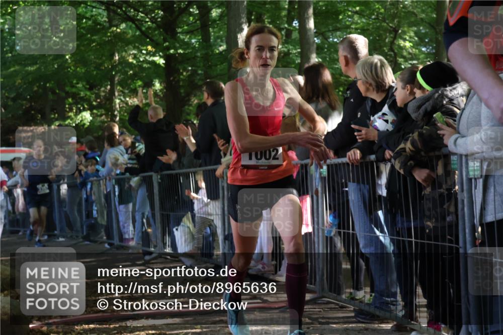 28.09.2025 - 33. Volkslauf durch das schöne Alstertal Strokosch-Dieckow http://msf.ph/oto/8965636 28.09.2025 11:27:34 Ziel 1002, 3066, 3357, 4141, 4159 meine-sportfotos.de