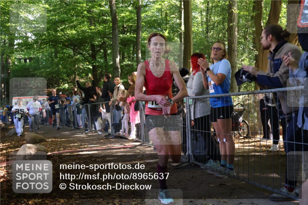 28.09.2025 - 33. Volkslauf durch das schöne Alstertal Strokosch-Dieckow http://msf.ph/oto/8965637 28.09.2025 11:27:34 Ziel 1002, 3066, 3357, 4141, 4159 meine-sportfotos.de
