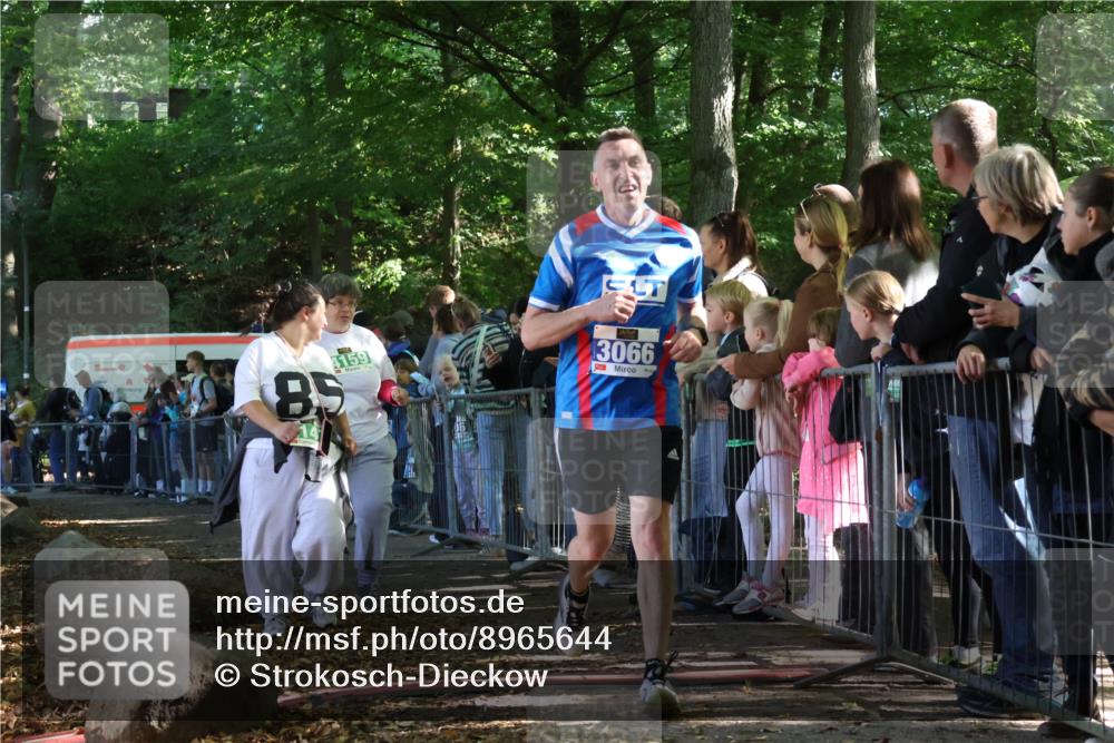 28.09.2025 - 33. Volkslauf durch das schöne Alstertal Strokosch-Dieckow http://msf.ph/oto/8965644 28.09.2025 11:27:39 Ziel 3066, 4141, 4159 meine-sportfotos.de