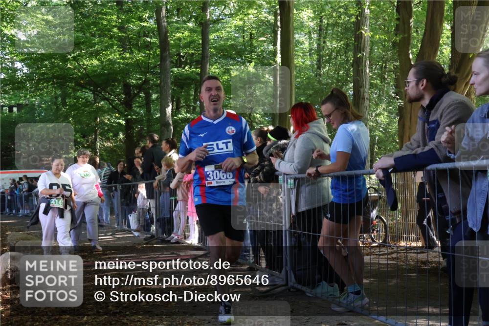 28.09.2025 - 33. Volkslauf durch das schöne Alstertal Strokosch-Dieckow http://msf.ph/oto/8965646 28.09.2025 11:27:40 Ziel 3045, 3066, 4159 meine-sportfotos.de
