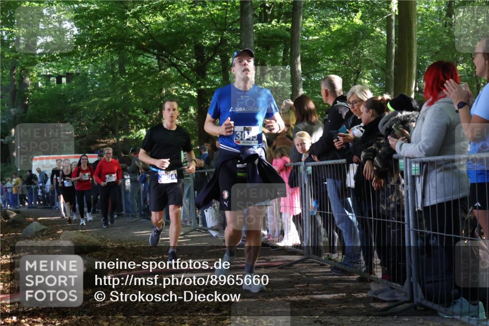 28.09.2025 - 33. Volkslauf durch das schöne Alstertal Strokosch-Dieckow http://msf.ph/oto/8965660 28.09.2025 11:27:49 Ziel 3045, 3142, 3143, 3144, 3254, 3306, 3945, 3954 meine-sportfotos.de