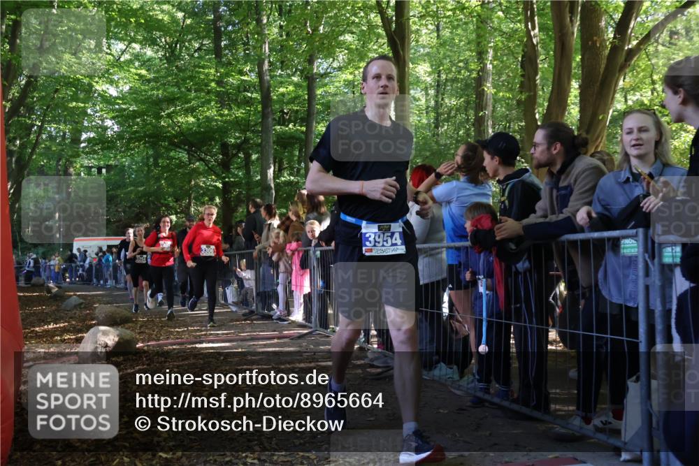 28.09.2025 - 33. Volkslauf durch das schöne Alstertal Strokosch-Dieckow http://msf.ph/oto/8965664 28.09.2025 11:27:51 Ziel 3142, 3143, 3144, 3254, 3306, 3945, 3954 meine-sportfotos.de