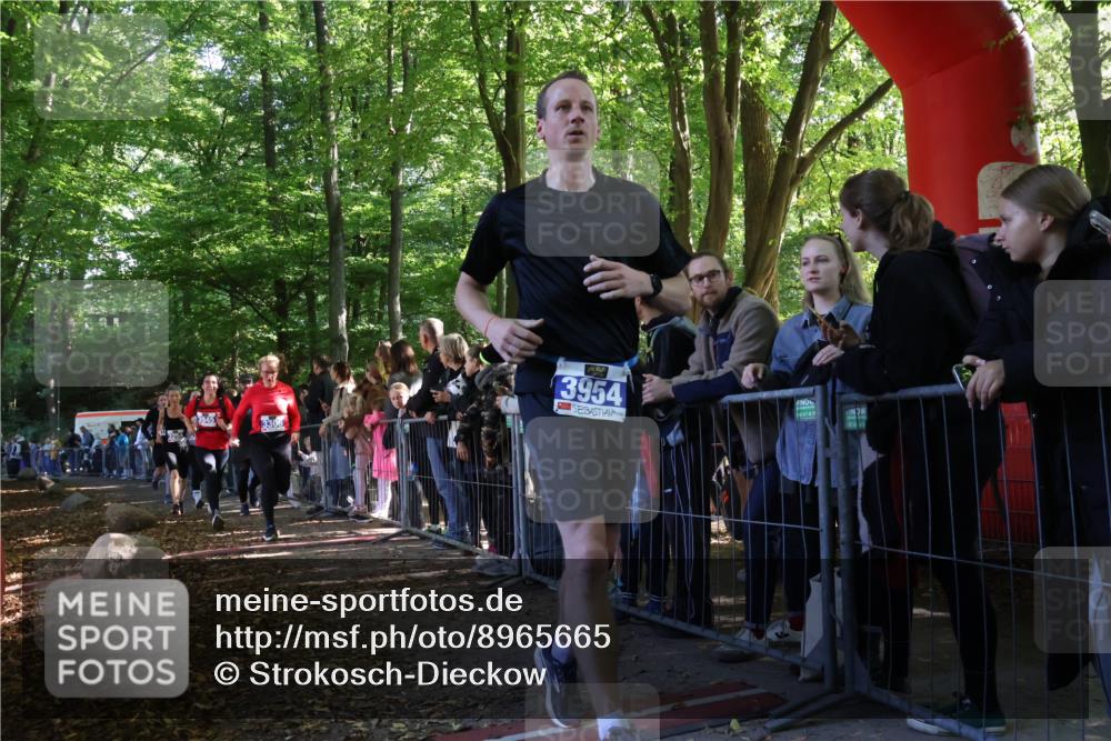 28.09.2025 - 33. Volkslauf durch das schöne Alstertal Strokosch-Dieckow http://msf.ph/oto/8965665 28.09.2025 11:27:51 Ziel 3142, 3143, 3144, 3254, 3306, 3945, 3954 meine-sportfotos.de