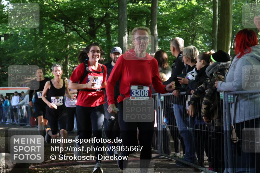 28.09.2025 - 33. Volkslauf durch das schöne Alstertal Strokosch-Dieckow http://msf.ph/oto/8965667 28.09.2025 11:27:52 Ziel 3142, 3143, 3144, 3254, 3306, 3945 meine-sportfotos.de