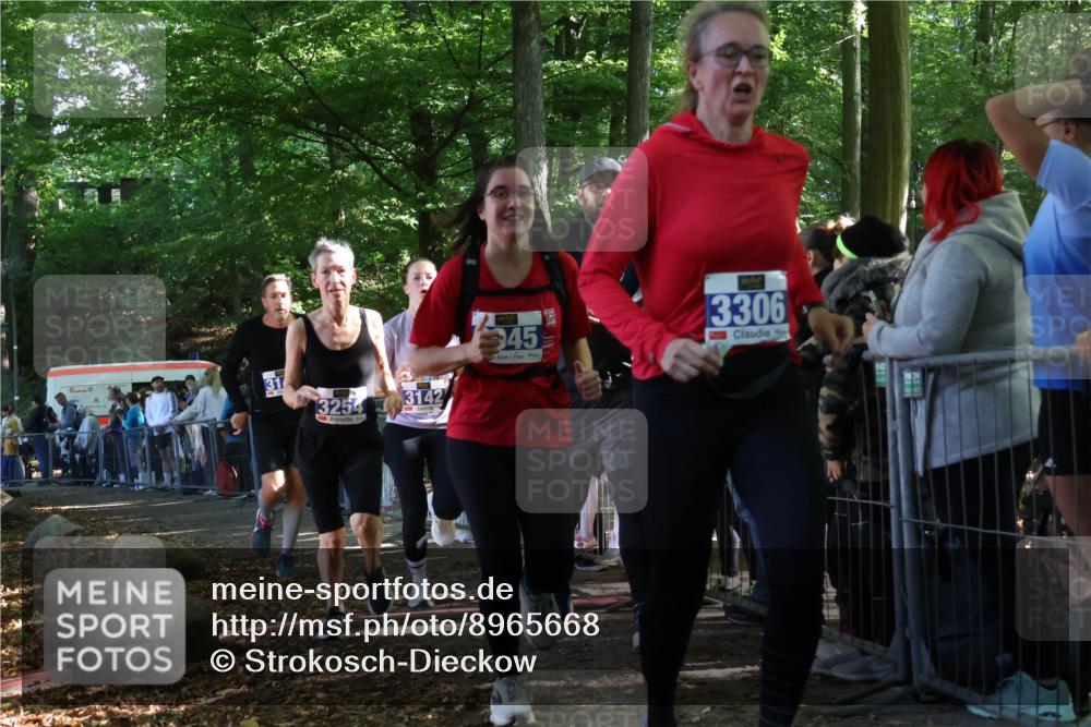 28.09.2025 - 33. Volkslauf durch das schöne Alstertal Strokosch-Dieckow http://msf.ph/oto/8965668 28.09.2025 11:27:53 Ziel 3142, 3143, 3144, 3254, 3306, 3945 meine-sportfotos.de