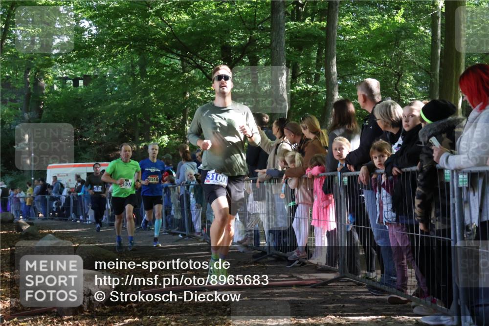 28.09.2025 - 33. Volkslauf durch das schöne Alstertal Strokosch-Dieckow http://msf.ph/oto/8965683 28.09.2025 11:28:10 Ziel 1510, 3037, 3100, 3140 meine-sportfotos.de