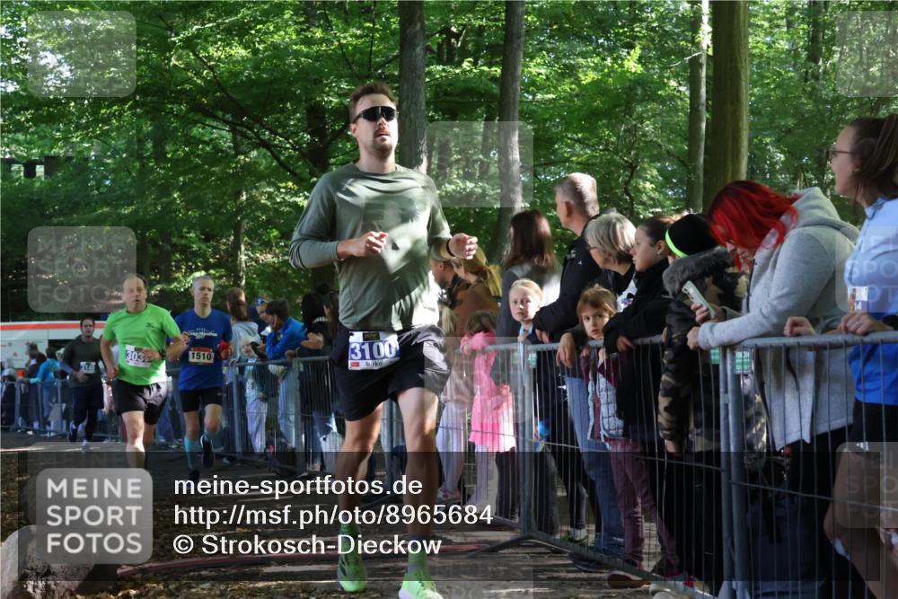28.09.2025 - 33. Volkslauf durch das schöne Alstertal Strokosch-Dieckow http://msf.ph/oto/8965684 28.09.2025 11:28:10 Ziel 1510, 3037, 3100, 3140 meine-sportfotos.de