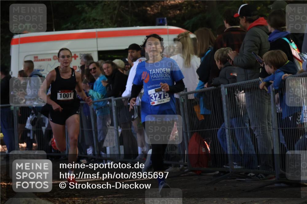 28.09.2025 - 33. Volkslauf durch das schöne Alstertal Strokosch-Dieckow http://msf.ph/oto/8965697 28.09.2025 11:28:19 Ziel 1001, 3181, 3275 meine-sportfotos.de