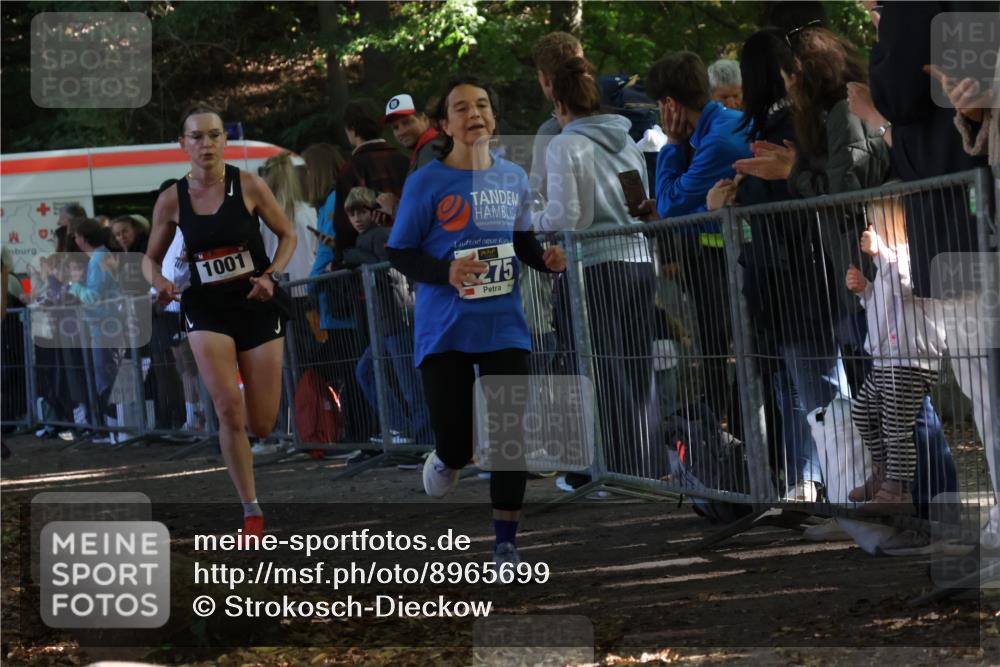 28.09.2025 - 33. Volkslauf durch das schöne Alstertal Strokosch-Dieckow http://msf.ph/oto/8965699 28.09.2025 11:28:21 Ziel 1001, 3029, 3181, 3275 meine-sportfotos.de