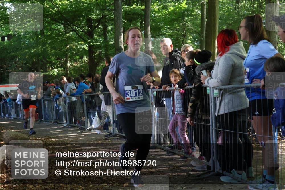28.09.2025 - 33. Volkslauf durch das schöne Alstertal Strokosch-Dieckow http://msf.ph/oto/8965720 28.09.2025 11:28:43 Ziel 1509, 3012, 3405 meine-sportfotos.de